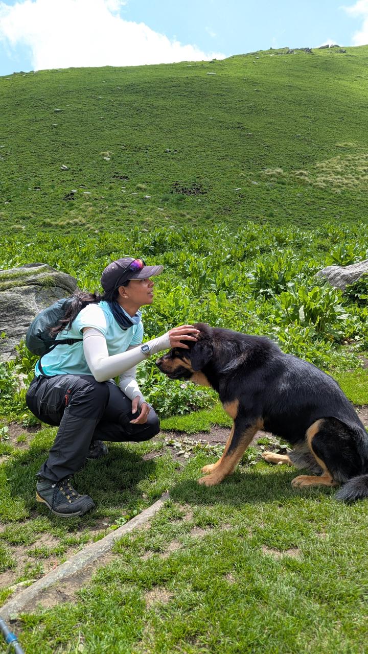 Trail companions