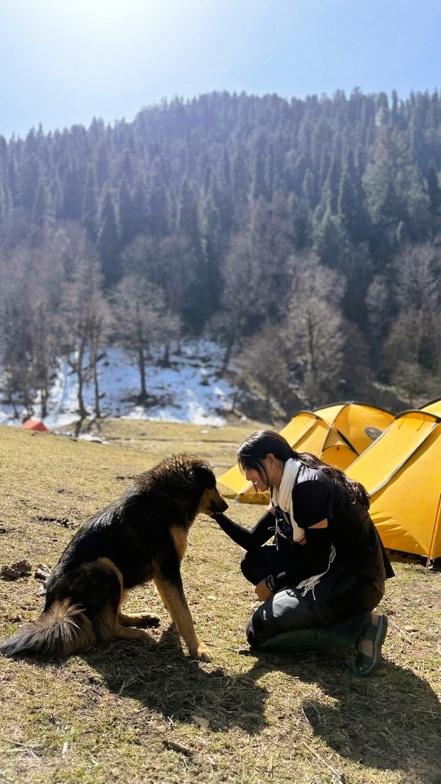 Nimi with mountain dog